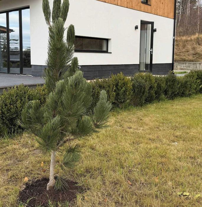 Продаж 2-поверхового котеджу в Карпатах