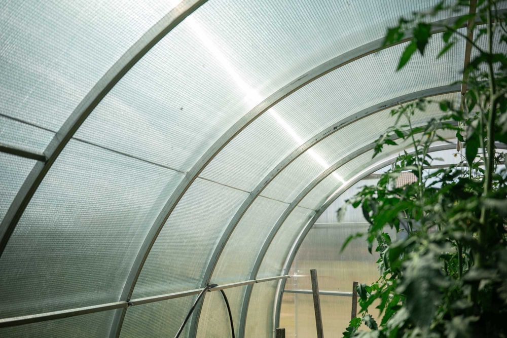 Szklarnia 3x4 poliwęglan 6 profil 20x40 polska produkcja z montażem