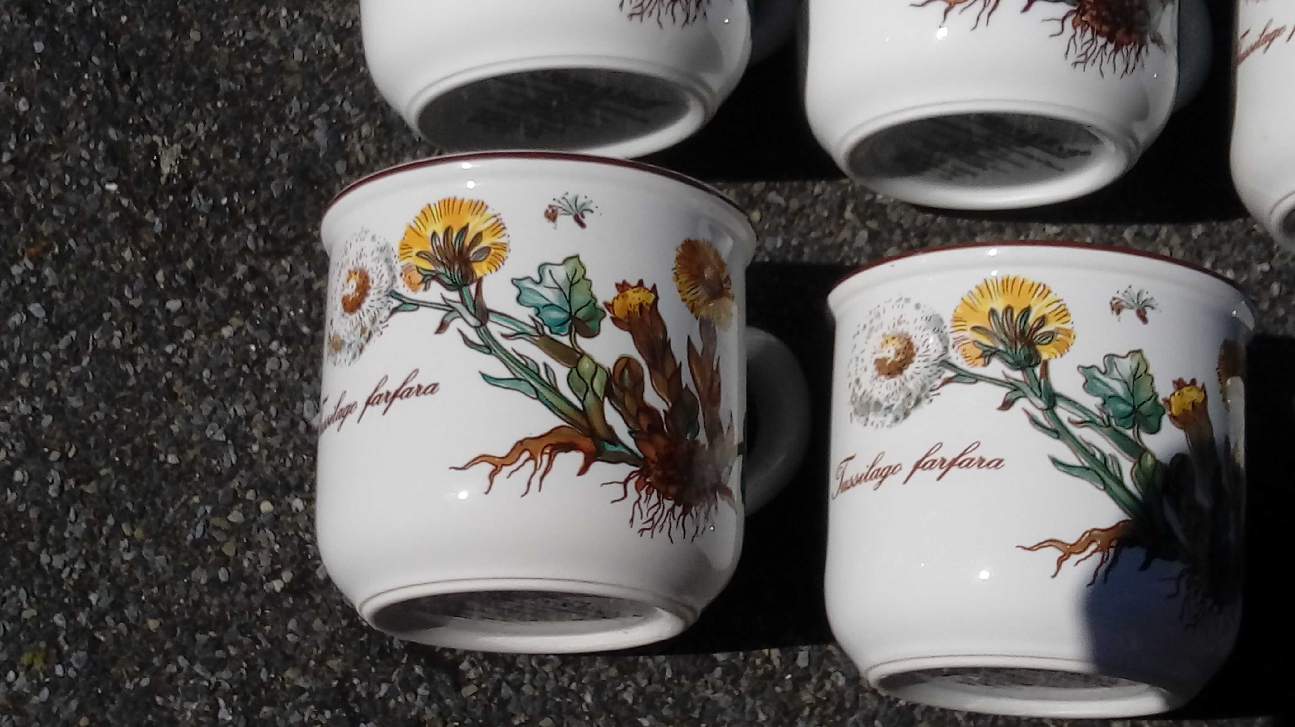 Porcelana,kolekcja,Villeroy&Boch,filiżanki,Botanica