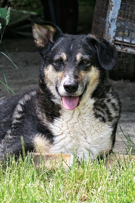 Roxi szuka odpowiedzialnego domu