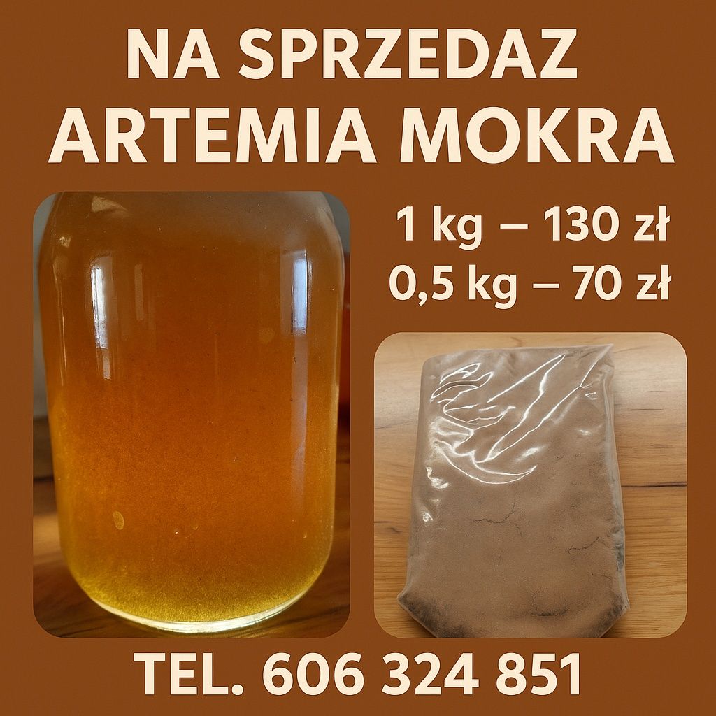Artemia mokra do wylegu 1 kg