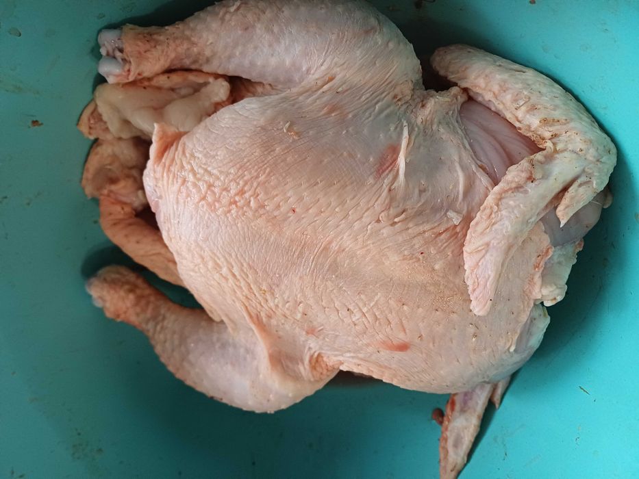 Kurczaki,,kaczki Tuszki i żywe