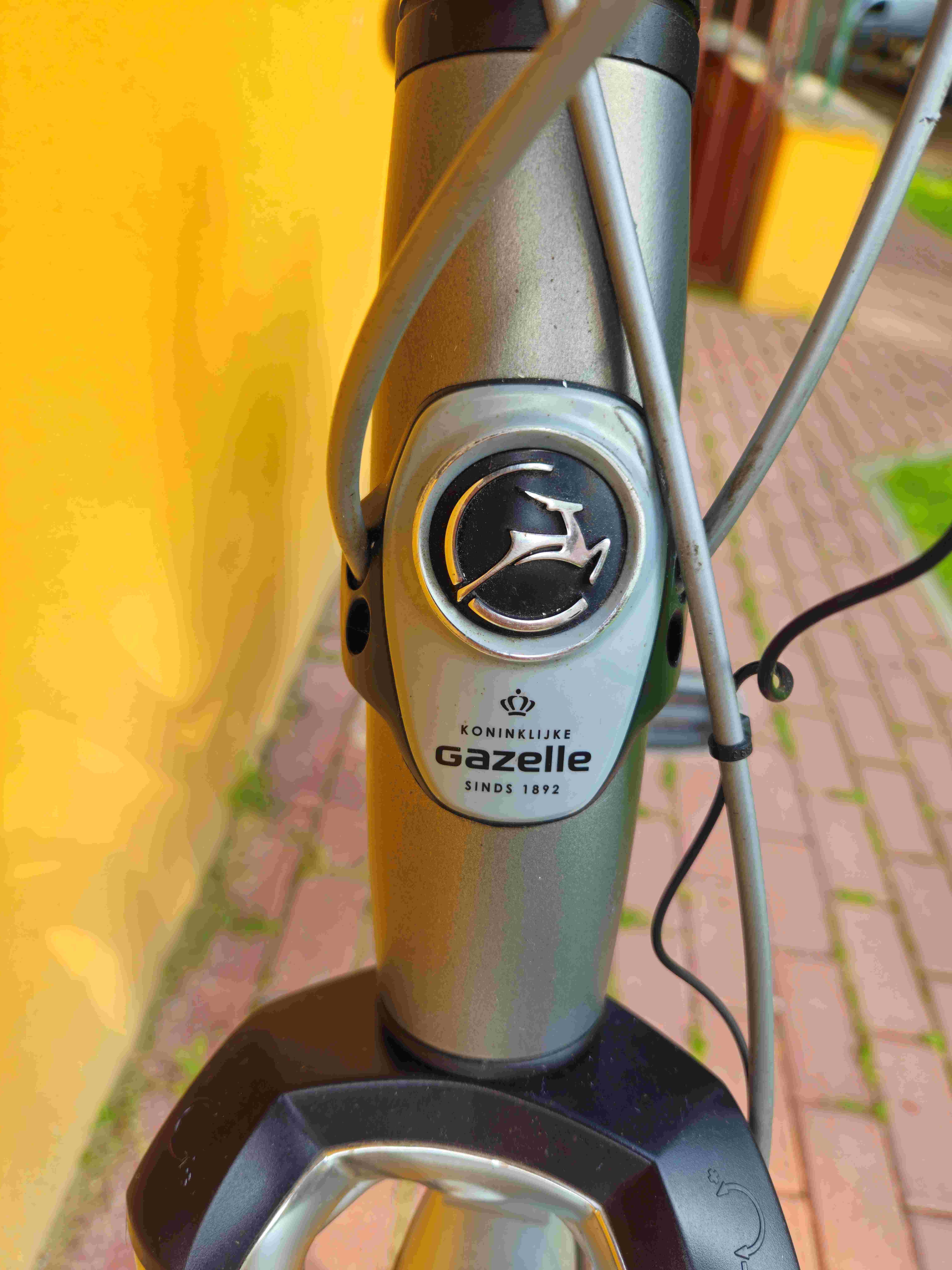 Rower Gazelle Paris Plus