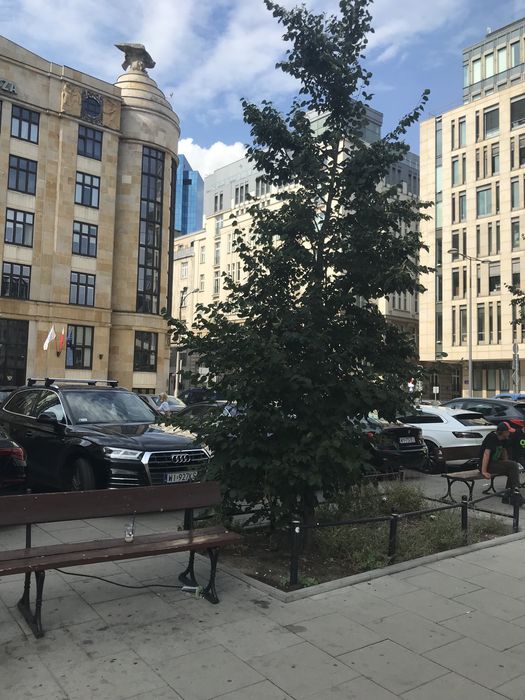 Wynajme mieszkanie scisle centrum w-wa