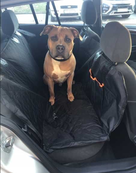 Накидка чохол на заднє сидіння авто для перевезення тварин автогамак