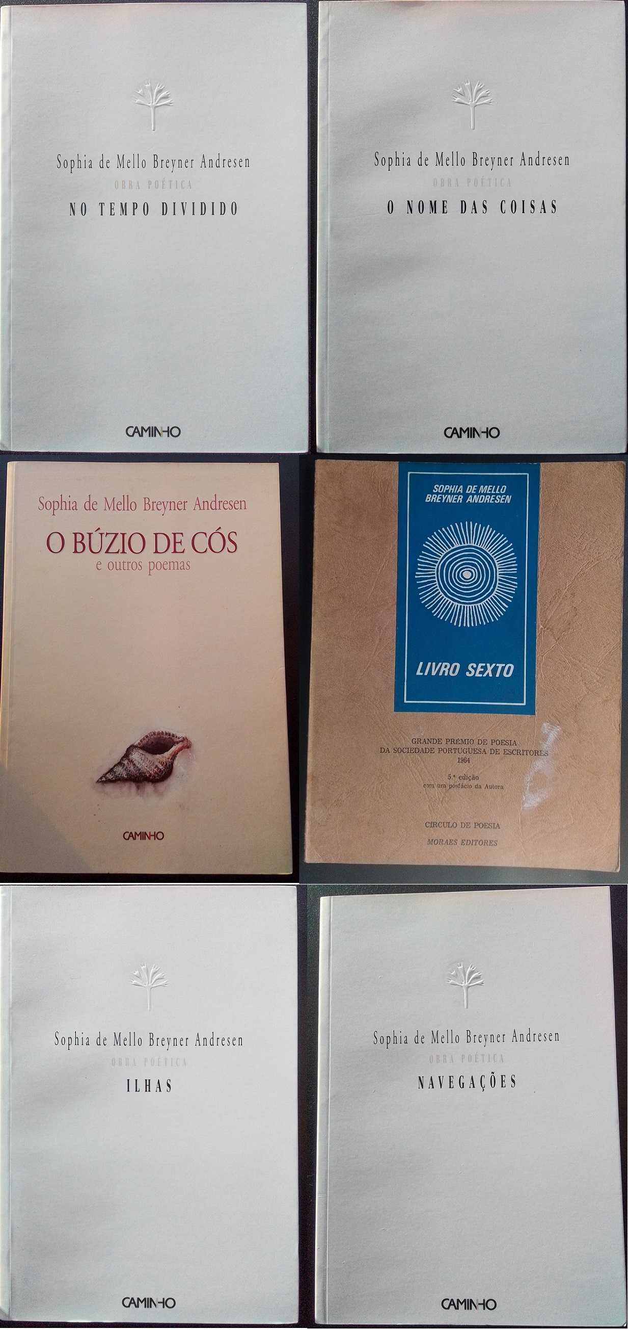 Pack de 34 livros de poesia