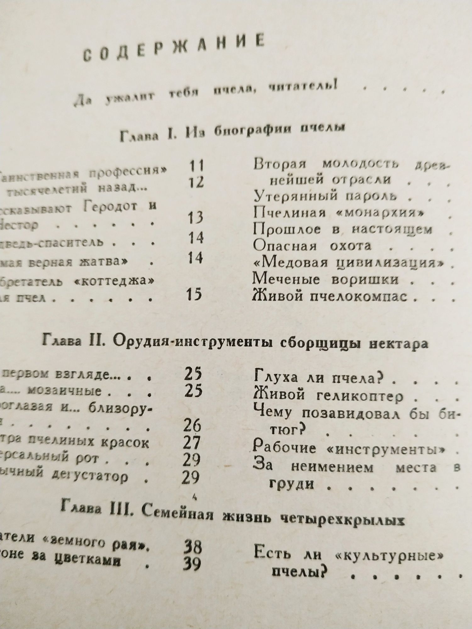 Занимательное пчеловодство +продукты пчеловодства в подарок
