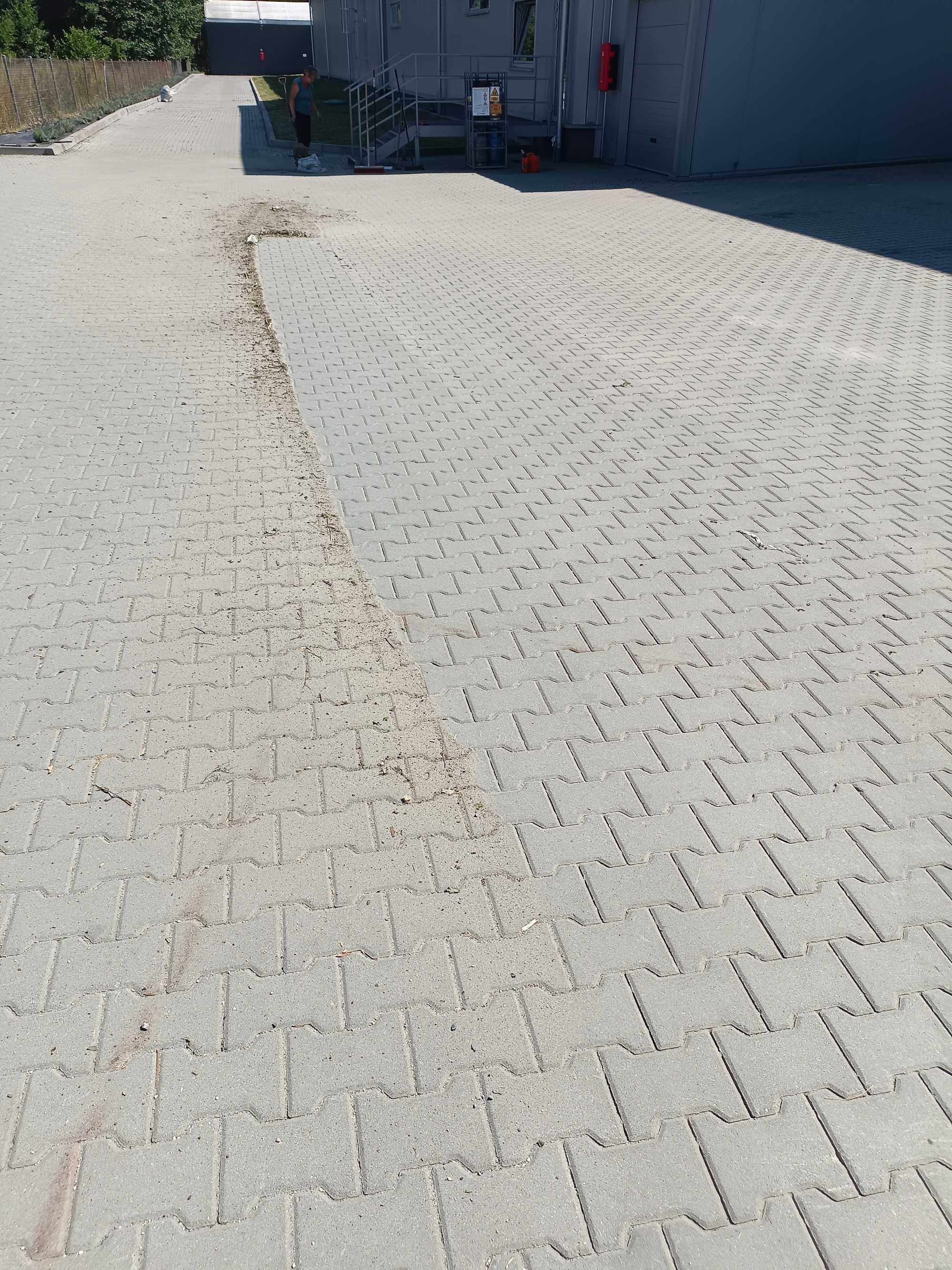 Wycinanie i przycinanie drzew i krzewów, zakładanie trawników i inne