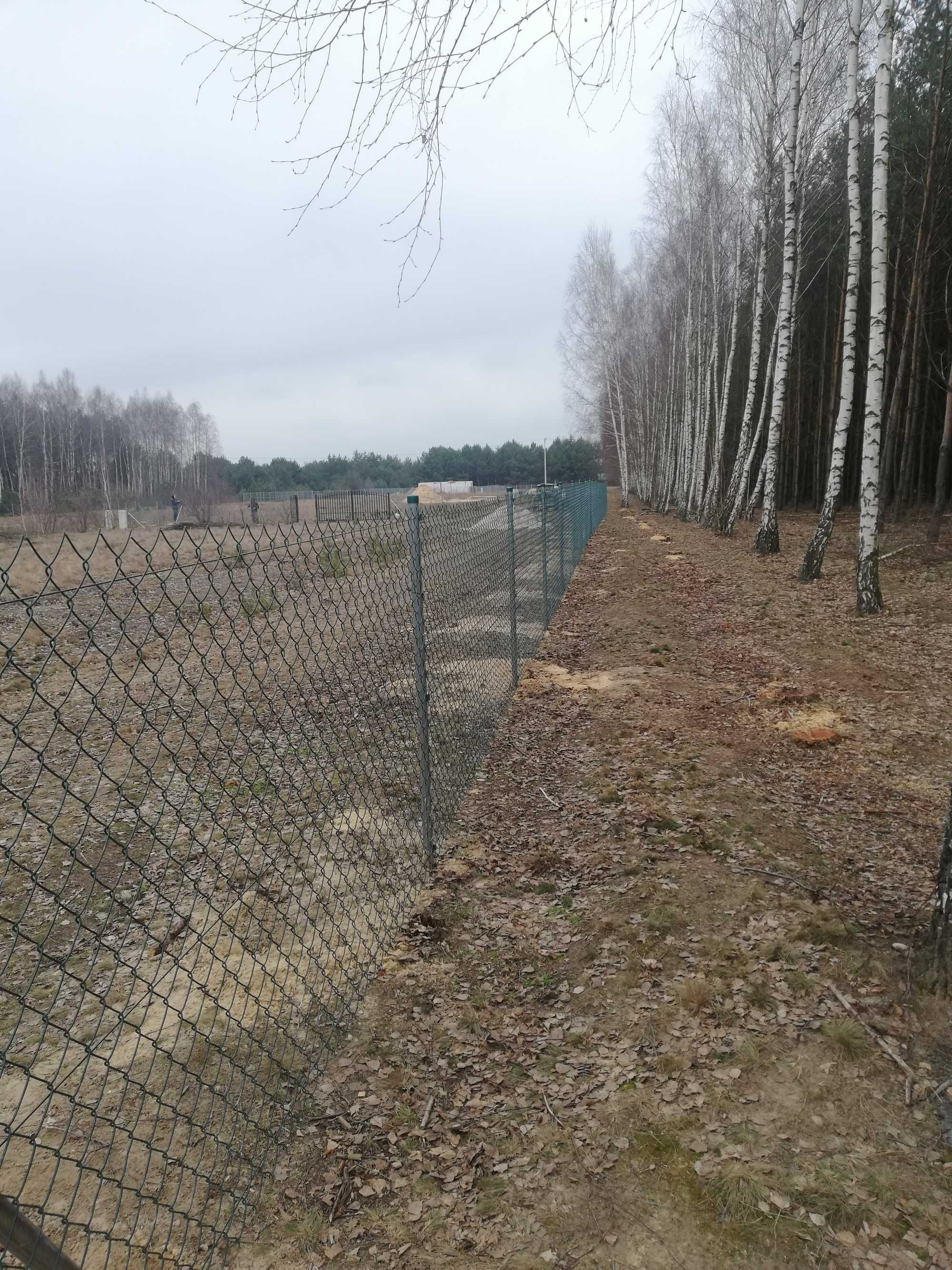 35 ZŁ za Kompletne ogrodzenie z siatki ocynkowanej 1,5m, siatka ocynk