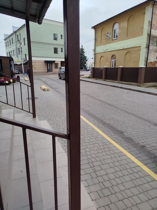 Здам в оренду зручне нежитлове підвальне приміщення в центрі міста