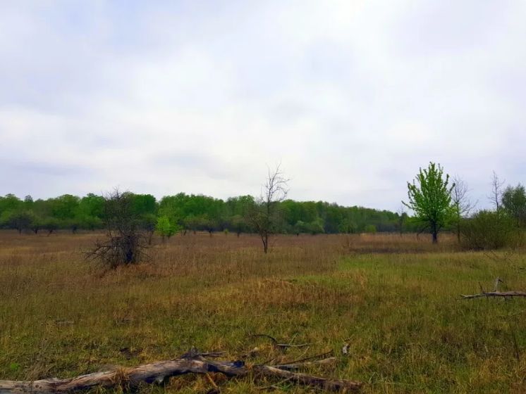 Ділянка під забудову в селі Русанів