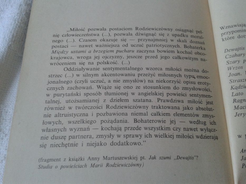 Maria Rodziewiczówna- Między ustami a brzegiem pucharu