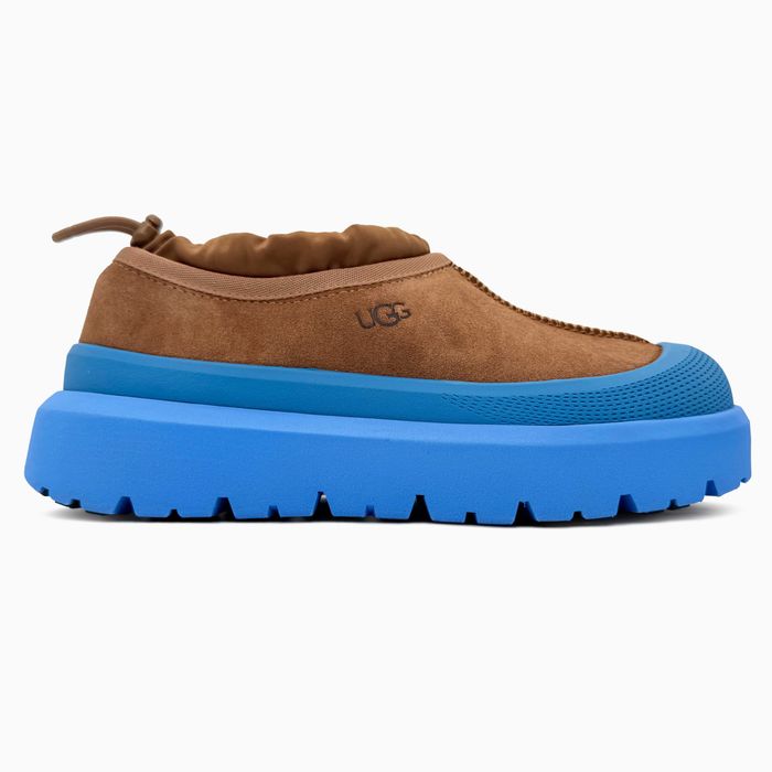 Чоловічі зимові уггі UGG Tasman Hybrid Chestnut/Blue на теплому хутрі