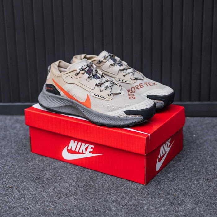 Кросівки Nike Zoom Pegasus Trail 3 Gore-Tex premium