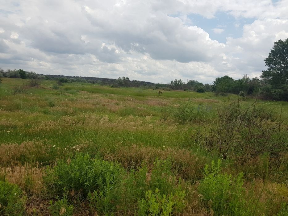 Земля в Галициново