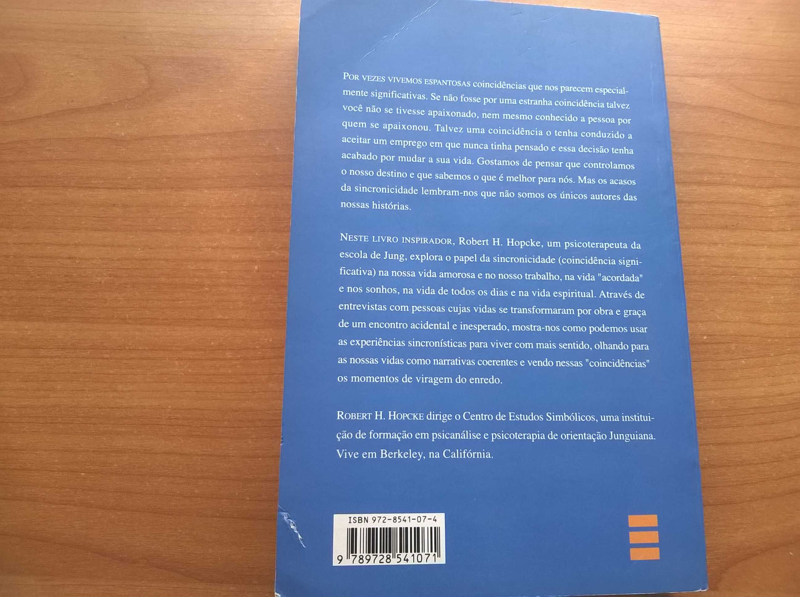 Não há Acasos - Robert H. Hopcke