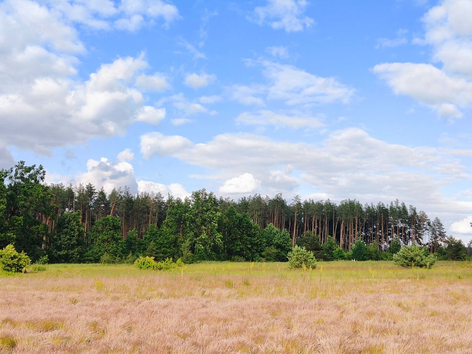 Терміново! Ділянка 9.5 сот поруч з лісом під модульний буд | Дмитрівка