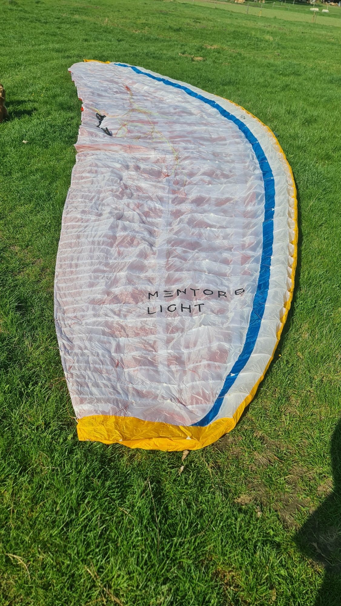 Paralotnia Nova Mentor 6 Light M 2021