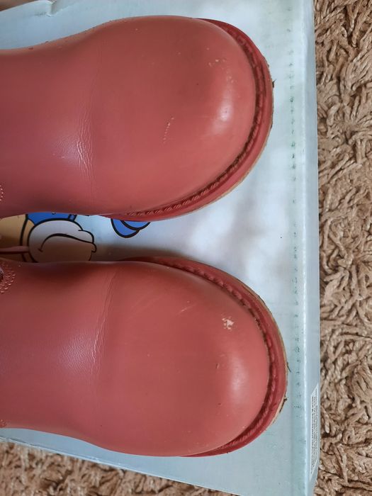 Сапоги деми Сказка на девочку, 28р