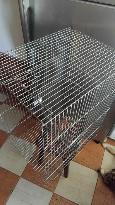 Клітка без поддону, для птахів