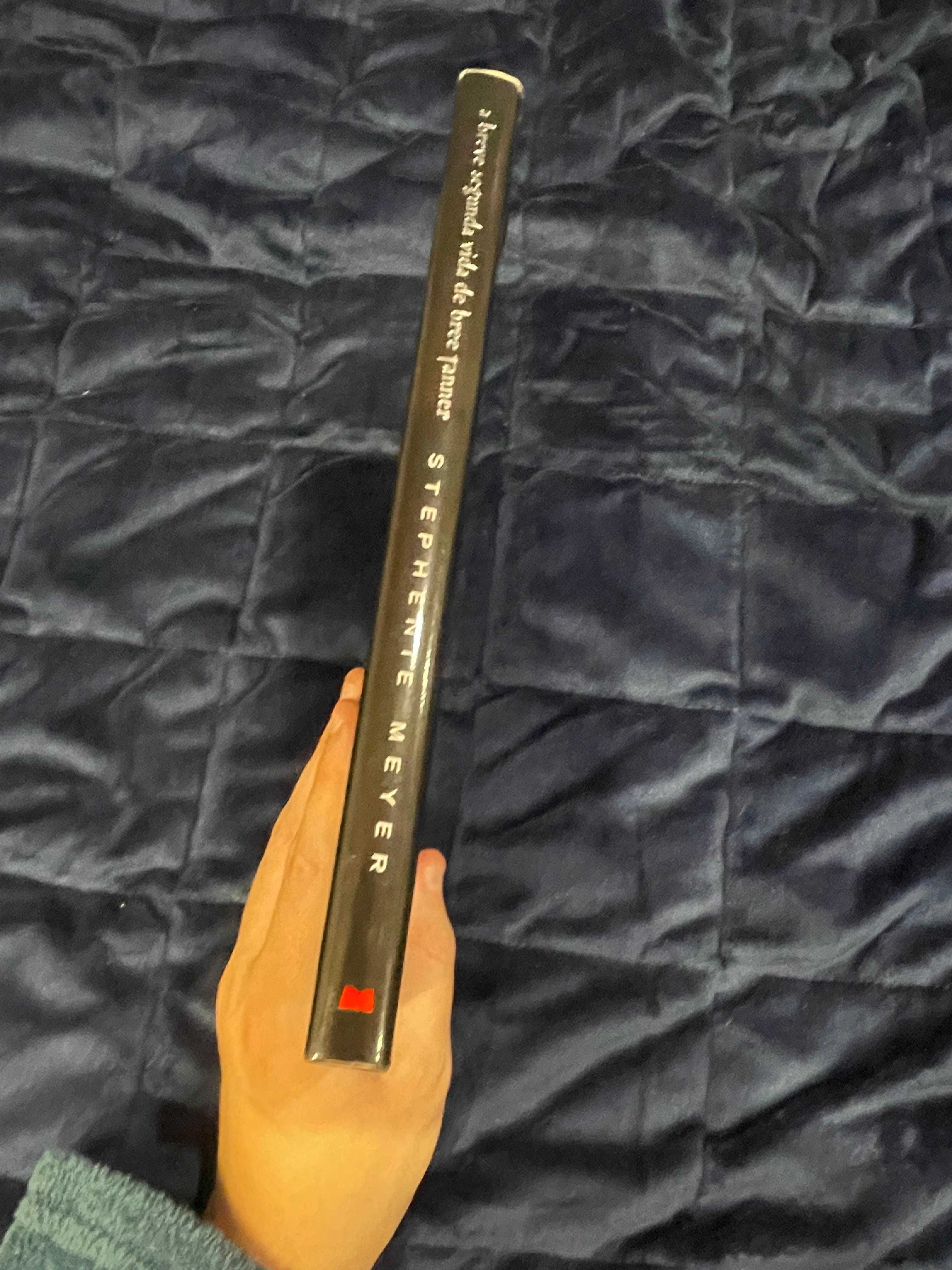 A Breve Segunda Vida de Bree Tanner – Stephenie Meyer | Usado