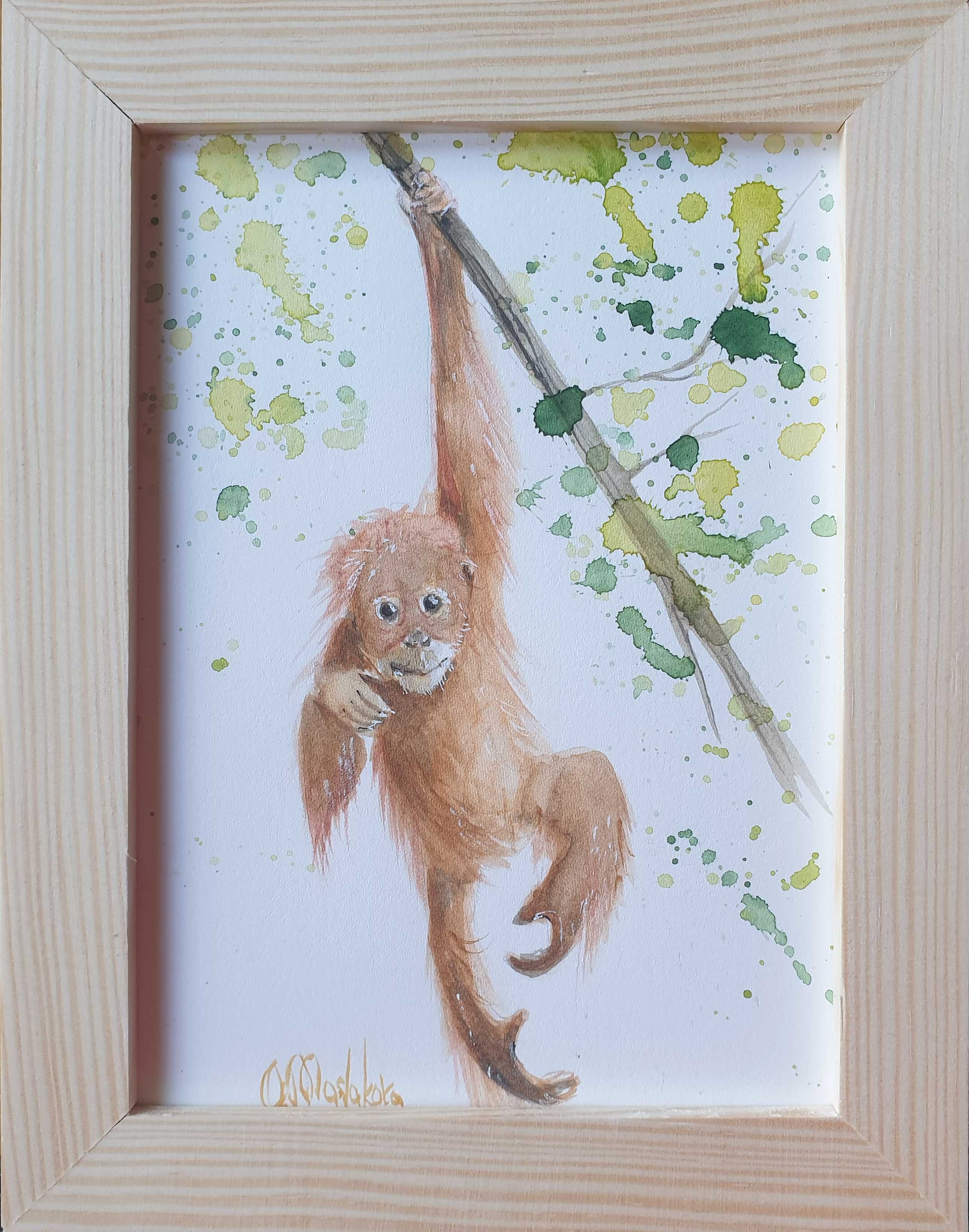 Akwarela ręcznie malowana "Małpka" + rama