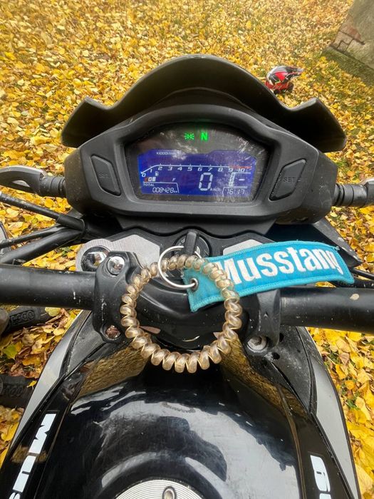 Musstang Fortune 200