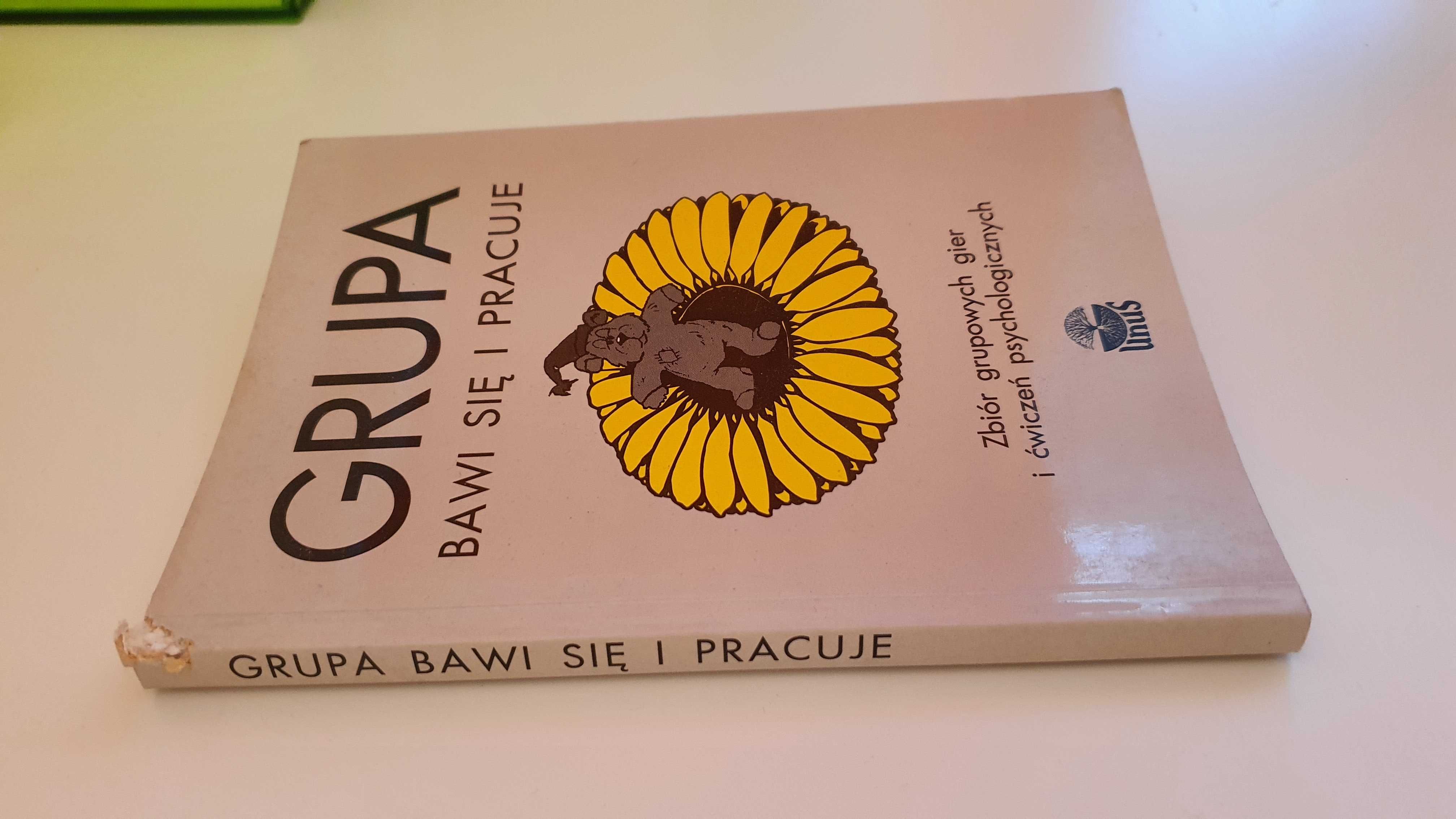 Książka Grupa bawi się i pracuje