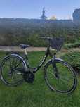 Rower damski SVR City Classic