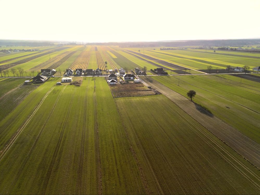 Działka budowlana - Longinówka, gm. Rozprza, pow. Piotrkowski