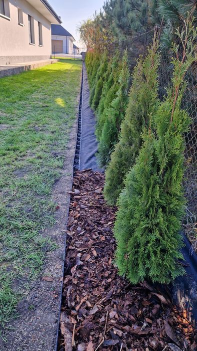 Kompleksowe zakładanie i pielęgnacja ogrodów