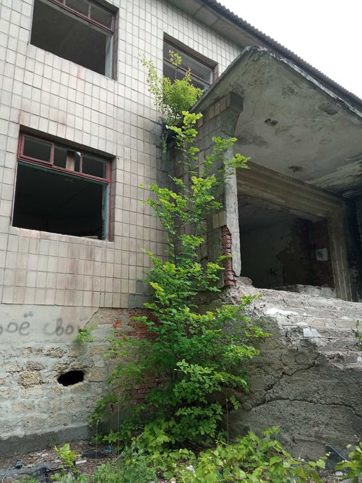 Комплекс будівель 1727кв.м 1,7га під виробництво,склади,гаражі Звягель