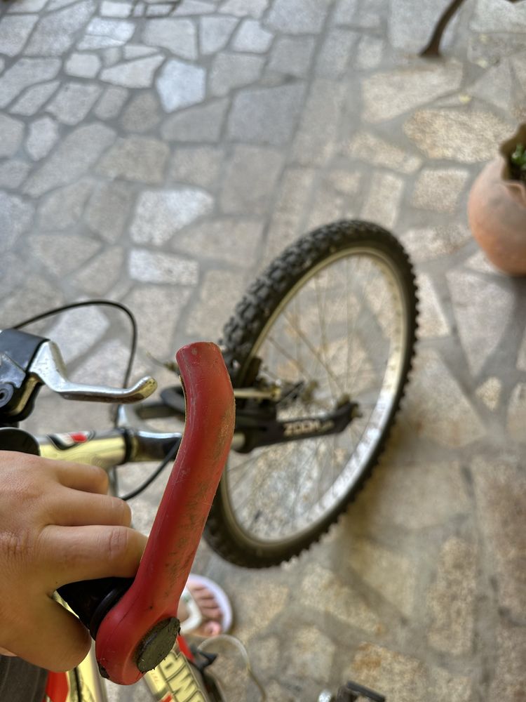 Bicicleta unisexo