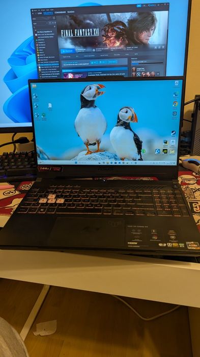 Portátil gaming ASUS Tuf F 507