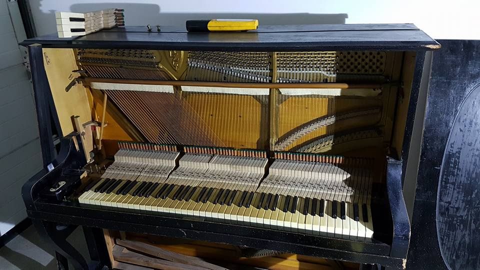 Afinador Pianos e Reparações