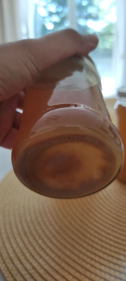 Syrop z kwiatów czarnego bzu z pomarańczą i cytryną.