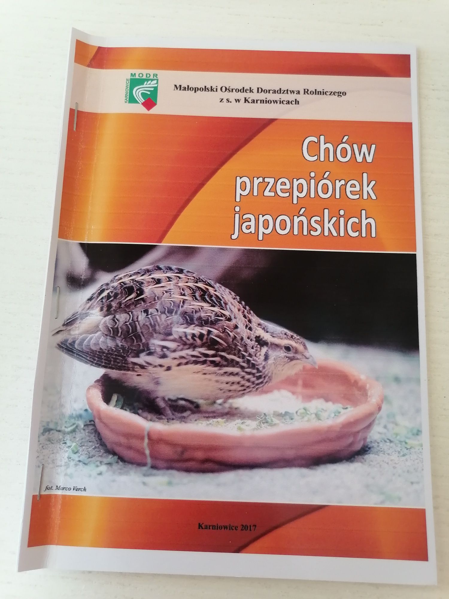 Chów przepiórek japońskich