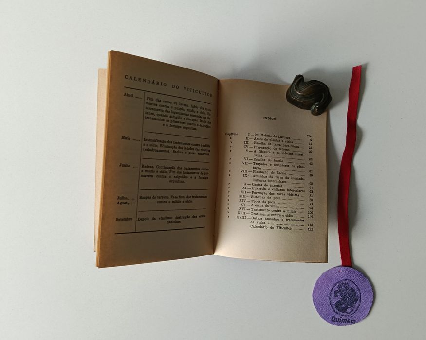 A vinha, Alfredo Baptista