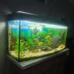 Akwarium 240l zestaw panorama filtry ryby