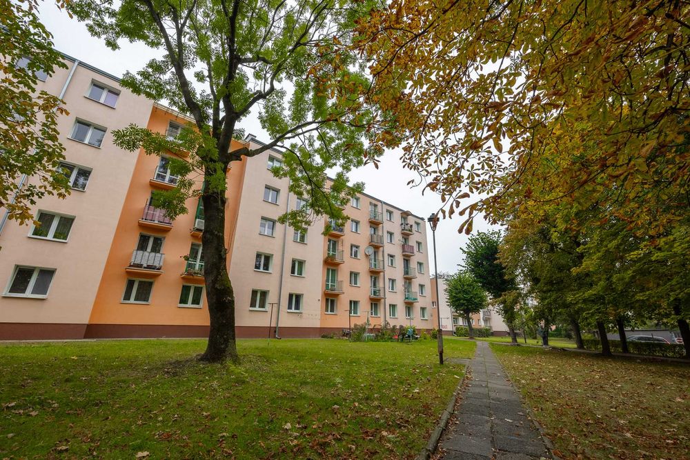 Własnościowe 3 pokoje na parterze na 2 pokoje własnościowe