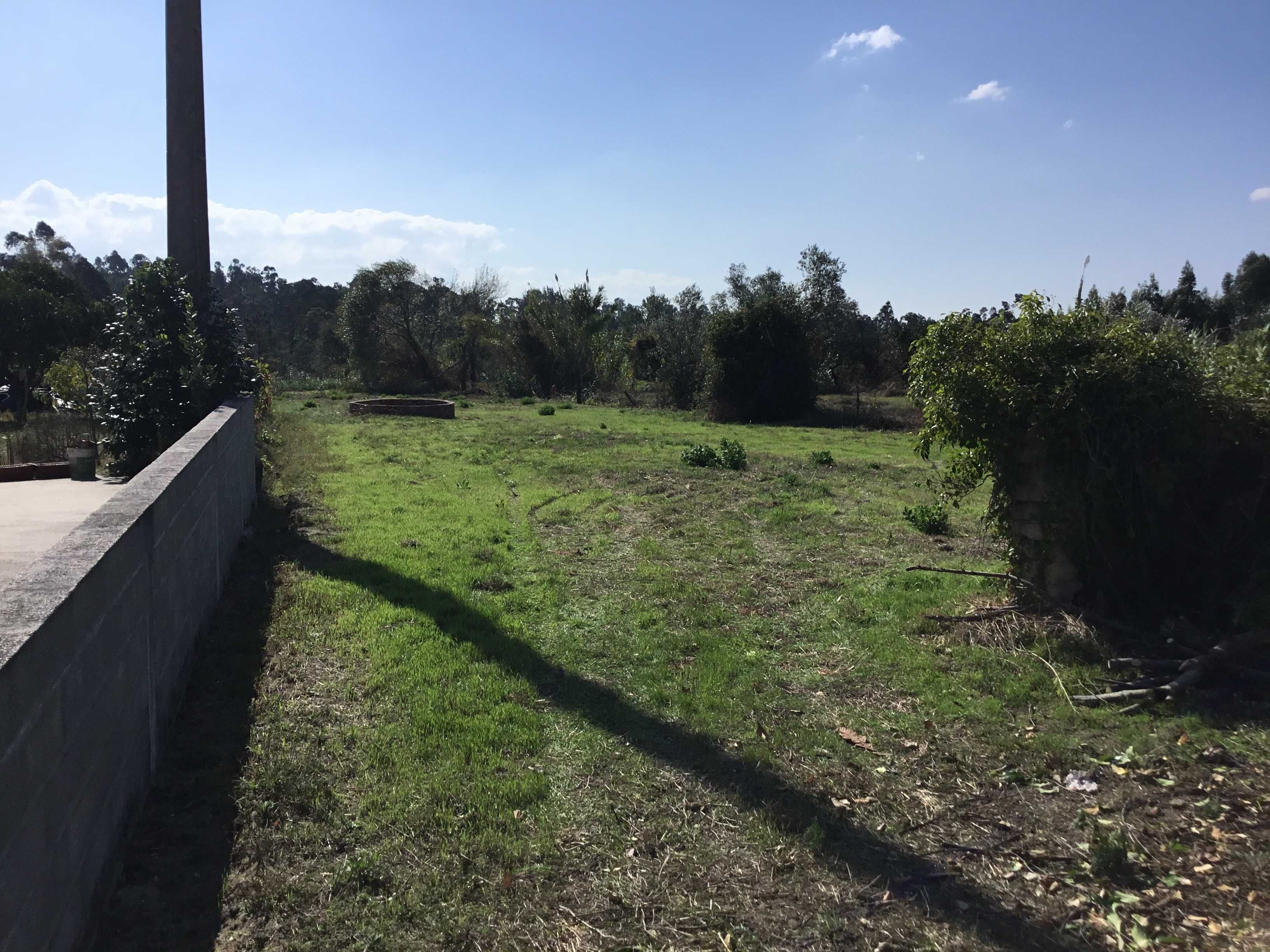 Terreno para Venda