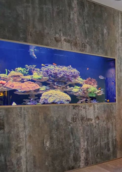 Akwarium morskie 280x90hx80 opti white