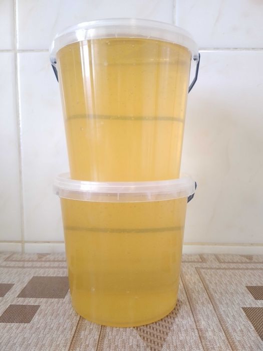 Мед різнотрав'я з власної пасіки (липень, 2025)