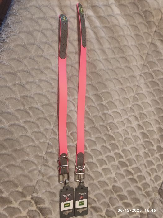 Coleiras rosa choque