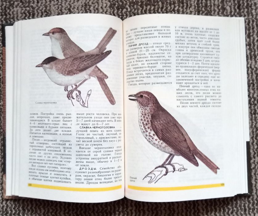 Друзья нашего дома. Самусенко Э.Г.