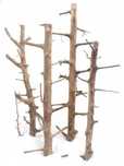 Korzeń Akwariowy ProGrow Tree Wood 1szt. - Korzeń do akwarium