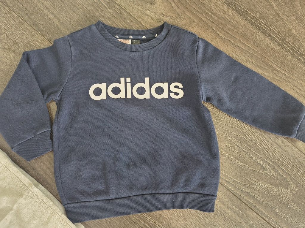 Spodnie Zara, bluza Adidas