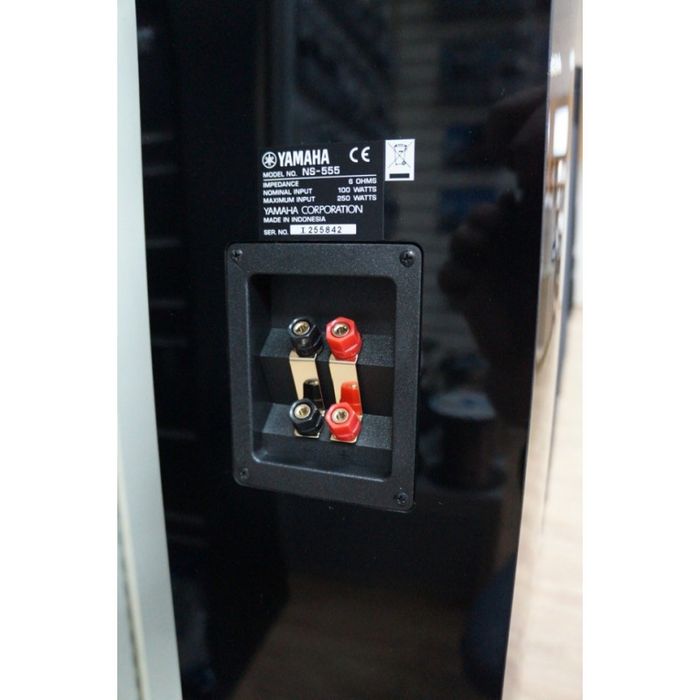 Підлогова акустика Yamaha NS-555 Black + центральний канал NS-C444
