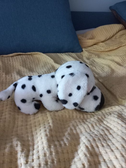 Zestaw Pluszowe pieski The dog