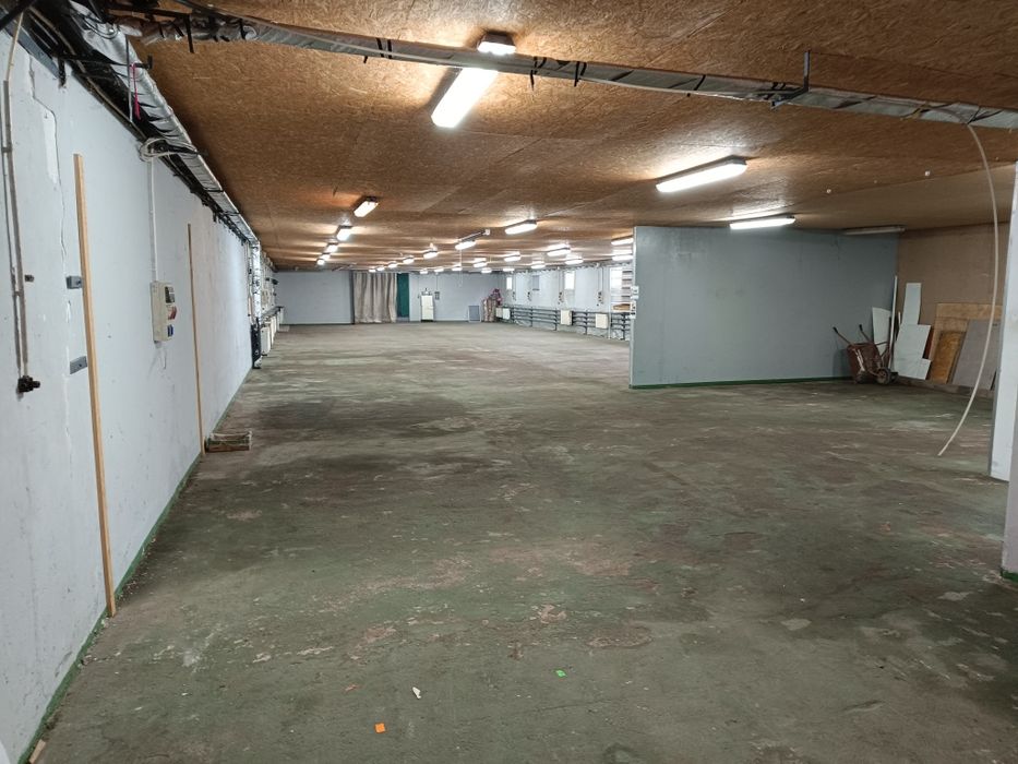 Wynajmę halę produkcyjną/magazyn